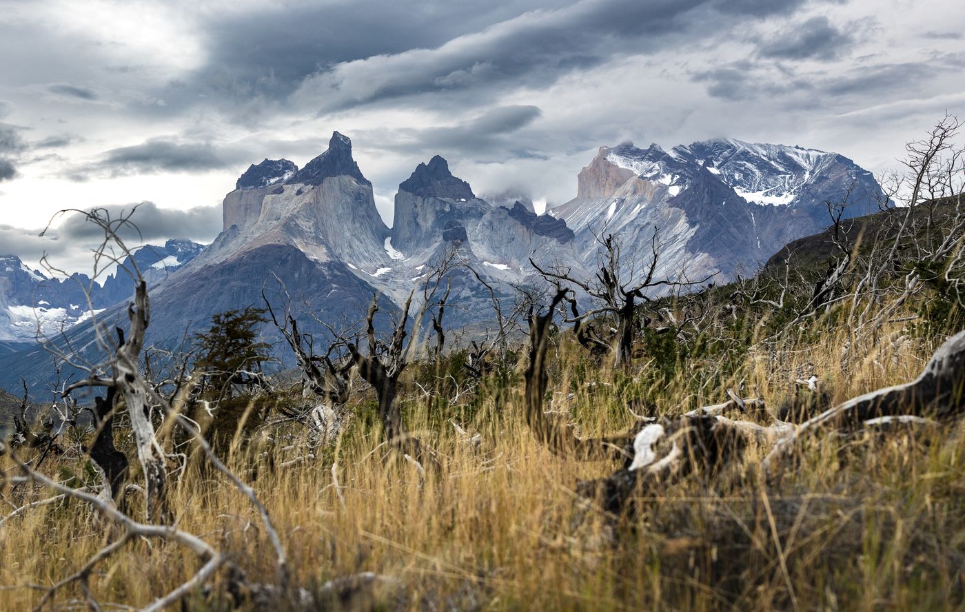The Cuernos del Paine rising above the Patagonian steppe